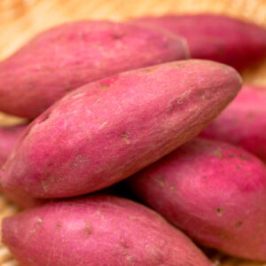 鹿児島産サツマイモ