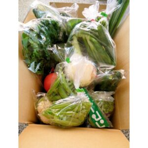 季節の野菜 3ヵ月パック[隔週発送] 6回分