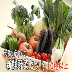 野菜詰め合わせ 新鮮旬の野菜セット 10種以上