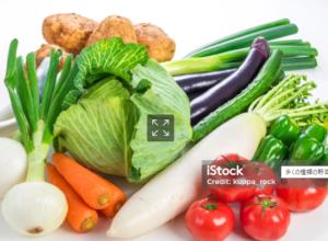 季節の野菜 3ヵ月パック[月1発送] 3回分